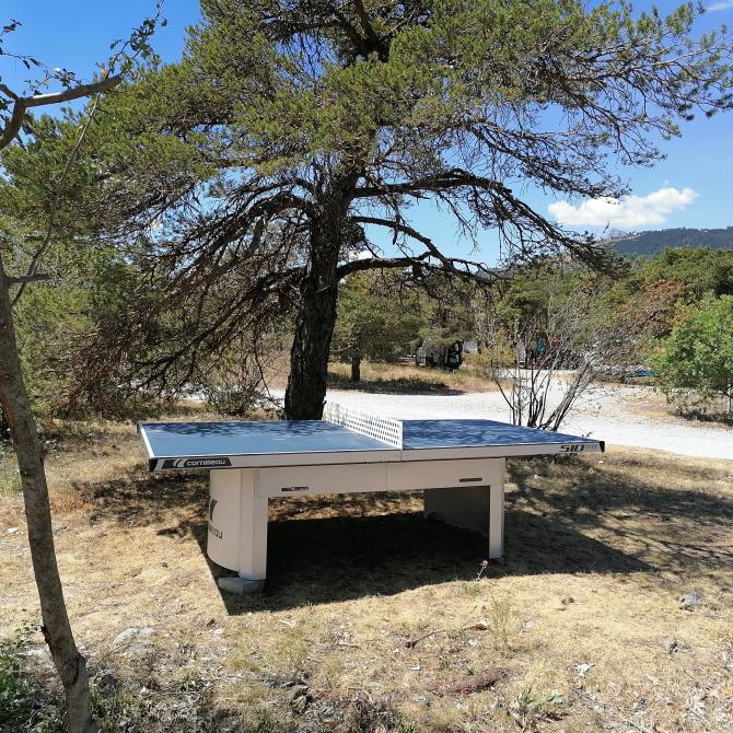 ping pong